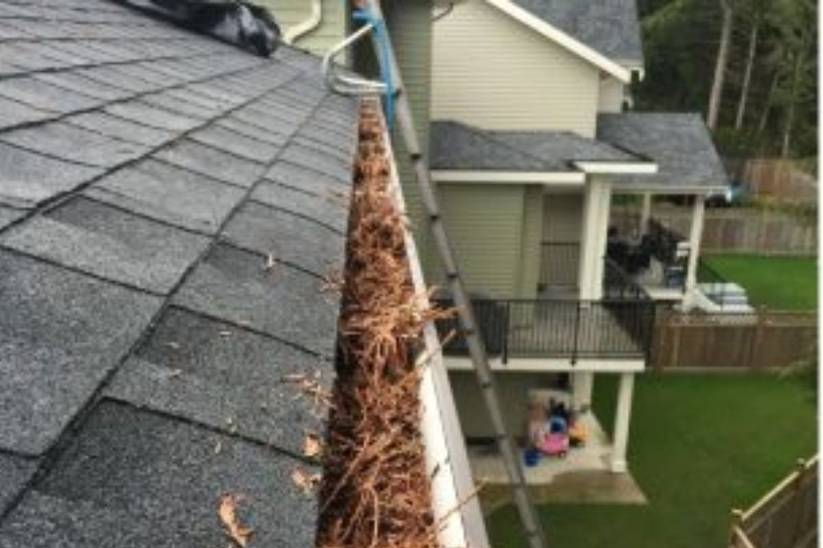 gutter cleaning services in Melbourne - Green 1 (4)