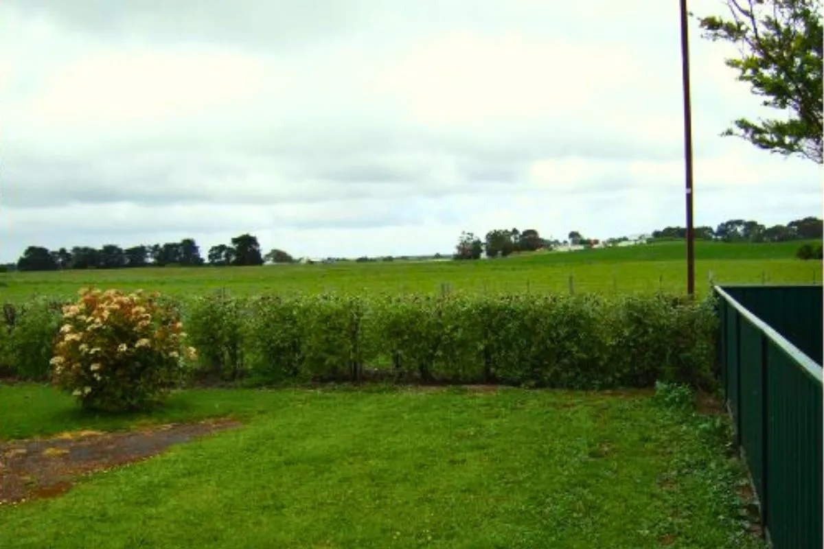 hedge trimming services near braybook victoria melbourne - after pic