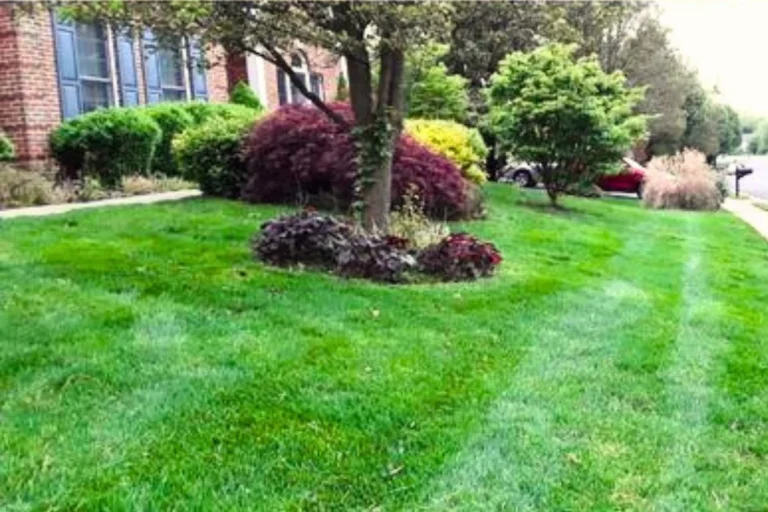 Lawn Mowing in Melbourne by Green 1