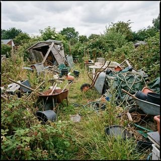 Overgrown backyard full of rubbish before a Green 1 clean up