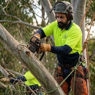 Green 1 arborist cutting a tree limb with a chainsaw